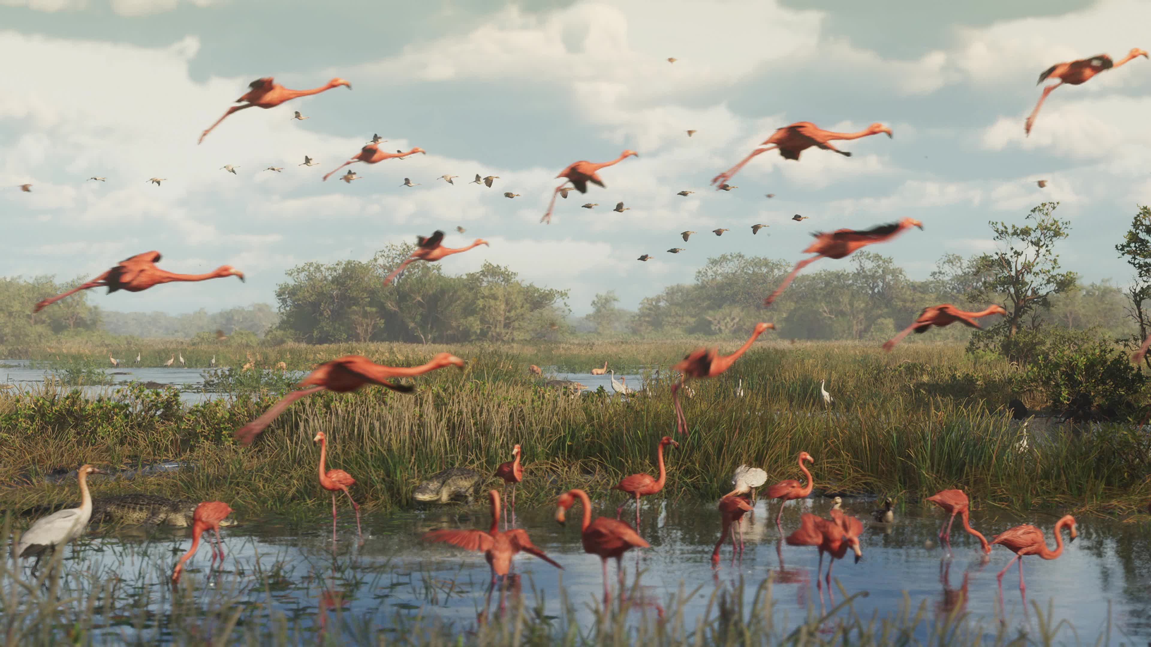 Flamingos im Feuchtgebiet, Originalframe aus GTA VI Trailer 1